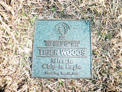 ごるスタ　桝井映里のゴルフコラム