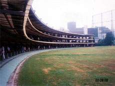 ごるスタ　桝井映里のゴルフコラム