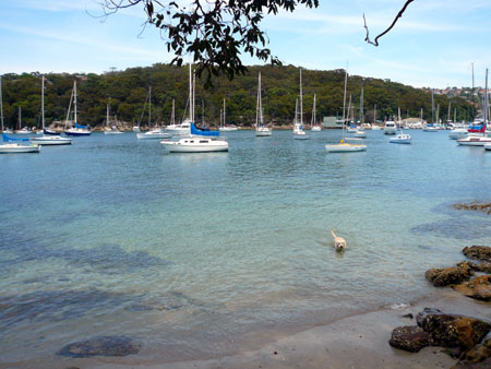 ごるスタ　桝井映里のゴルフコラム